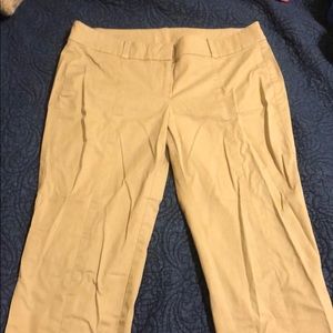 Ann Taylor - Khaki Carnegie Corp - 10